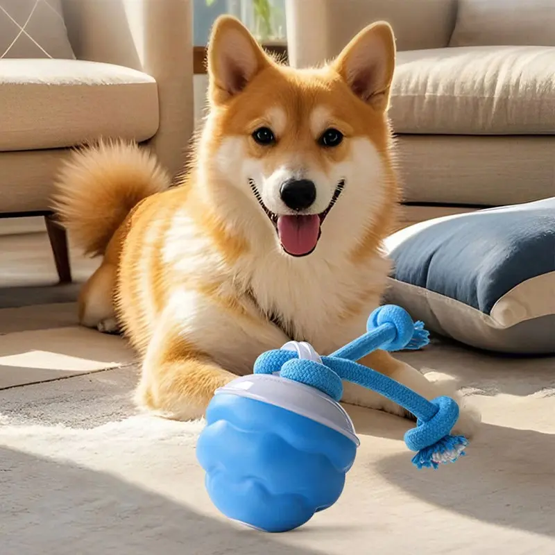 Interaktiver Ball mit Seilen für Hunde