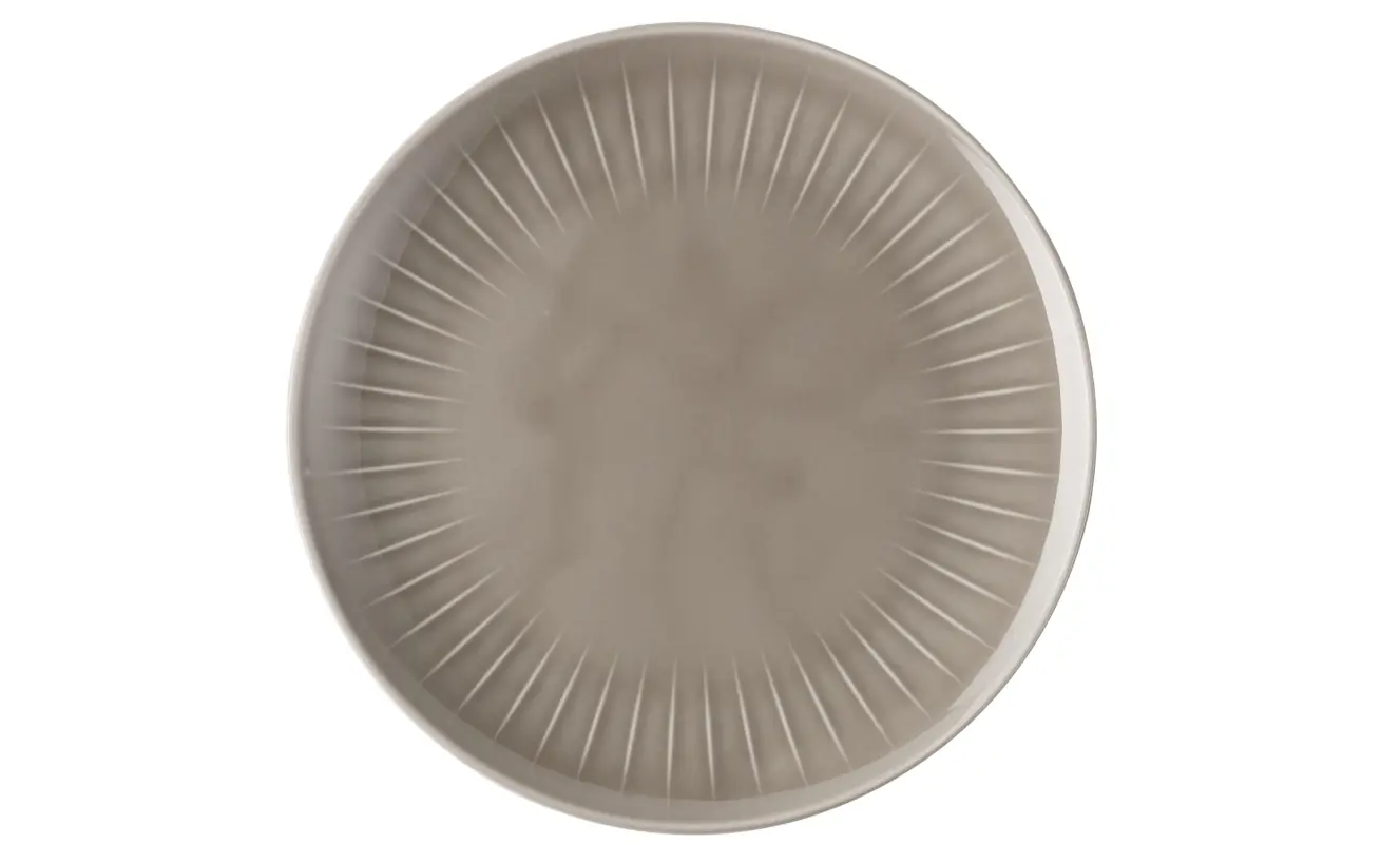 Joyn grau Speiseteller 24cm
