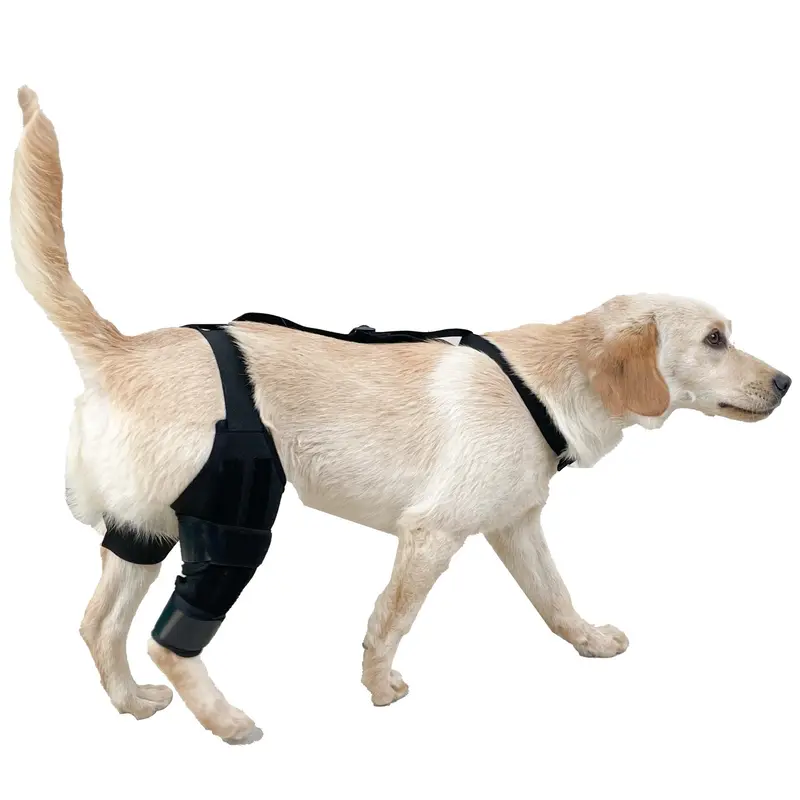 Kniebandage für Hunde
