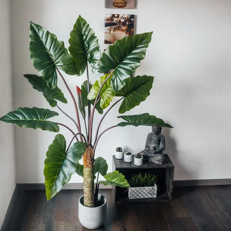 Kunstpflanze Alocasia 160 cm