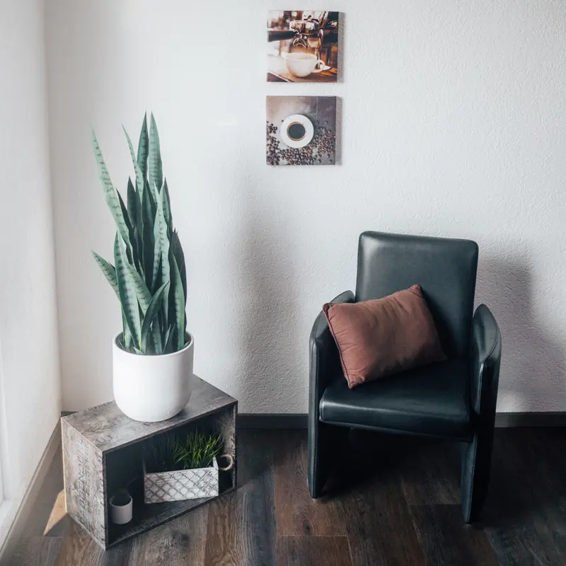 Kunstpflanze Bogenhanf Sansevieria trifasciata 100 cm