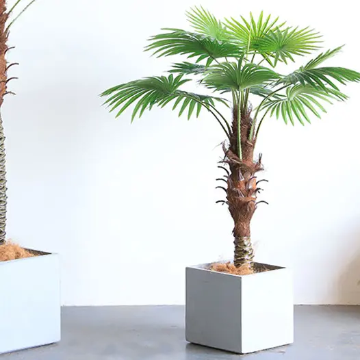 Kunstpflanze Fächerpalme Chamaerops Trachycarpus 150 cm