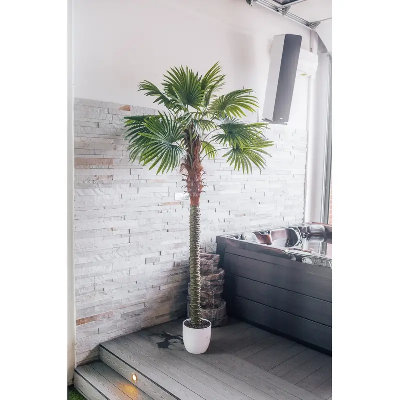 Kunstpflanze Fächerpalme Chamaerops Trachycarpus 200 cm