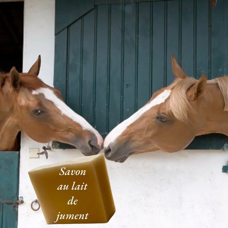 Le Savon au Lait de Jument