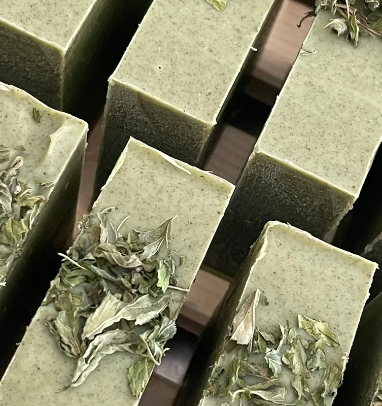 Le Shampoing à l'Ortie & Menthe poivrée