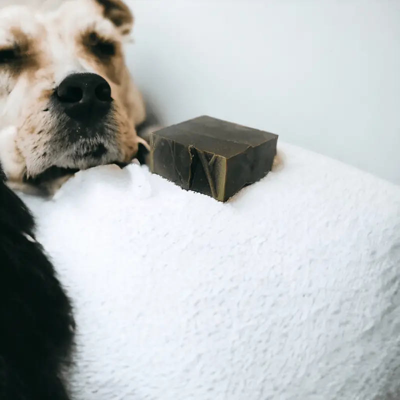 Le Shampoing de Soin Canin