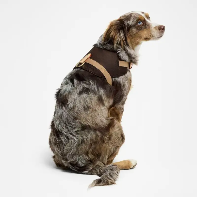 Leder-Halsband für Hunde, Kaffee-Blumenmuster