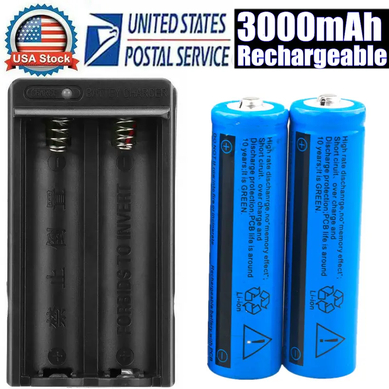 Li-ion Akku & Ladegerät Set 3000mAh