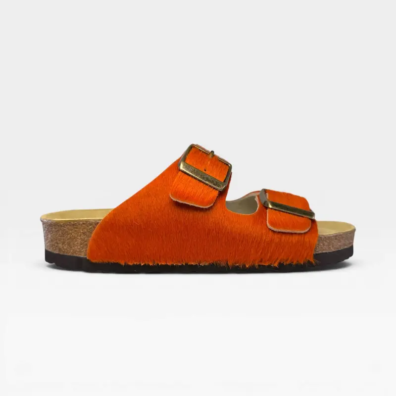 Marmota orange