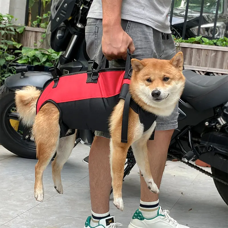 Mehrzweck-Rucksack für Hunde