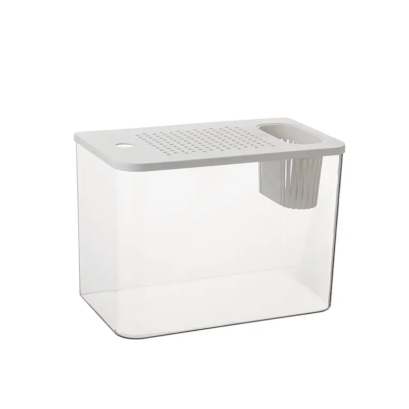 Mini-Betta-Aquarium für Wohnzimmer