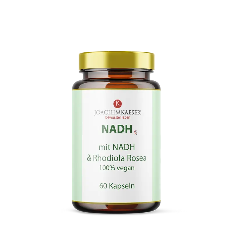 NADH - Zellenergie mit NADH & Rhodiola Rosea