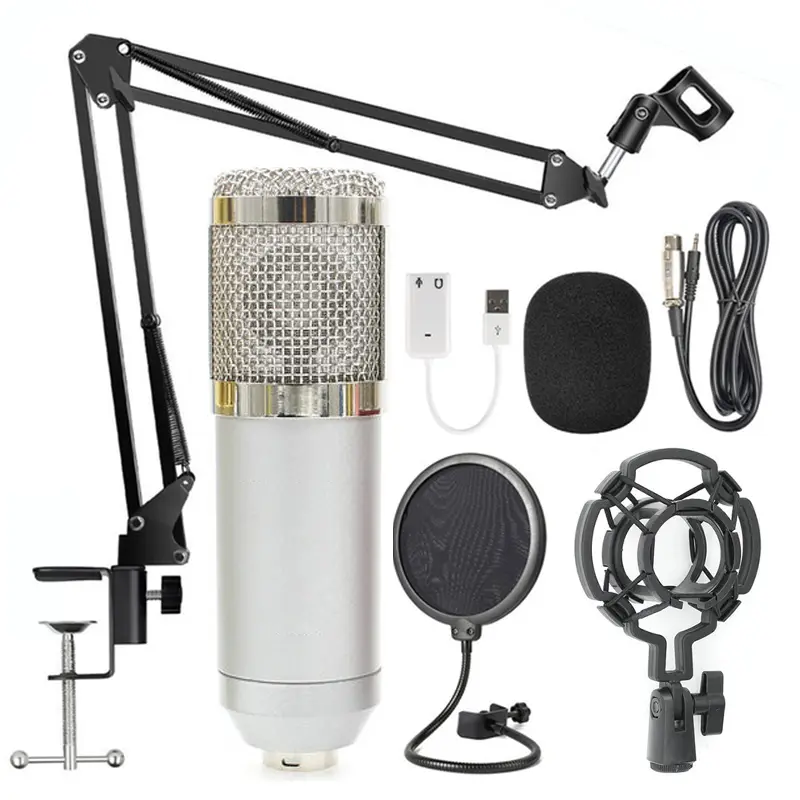 Netz-Mikrofonständer-Set