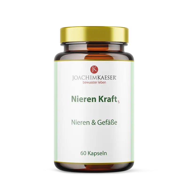 Nieren Kraft - Für starke Nieren