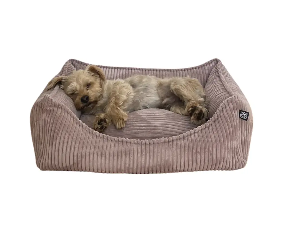 padsforall Hundebett Dreamer Cord