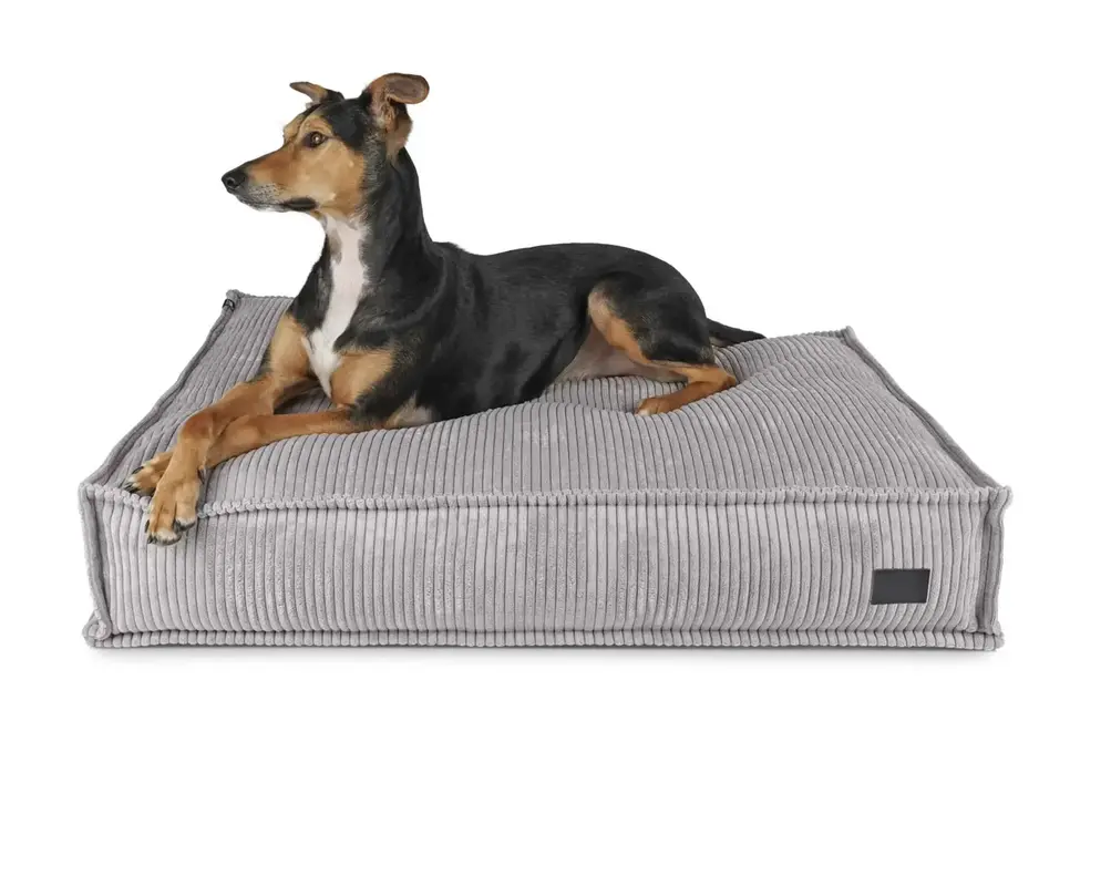 padsforall Hundekissen Flow Cord