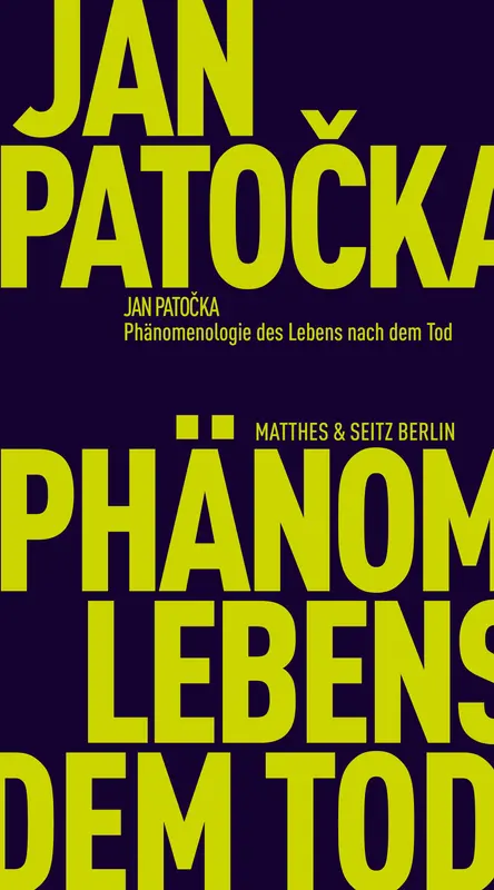 Phänomenologie des Lebens nach dem Tod