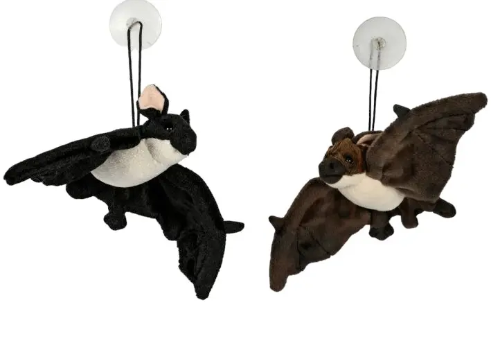 Plüsch Fledermaus mit Sauger