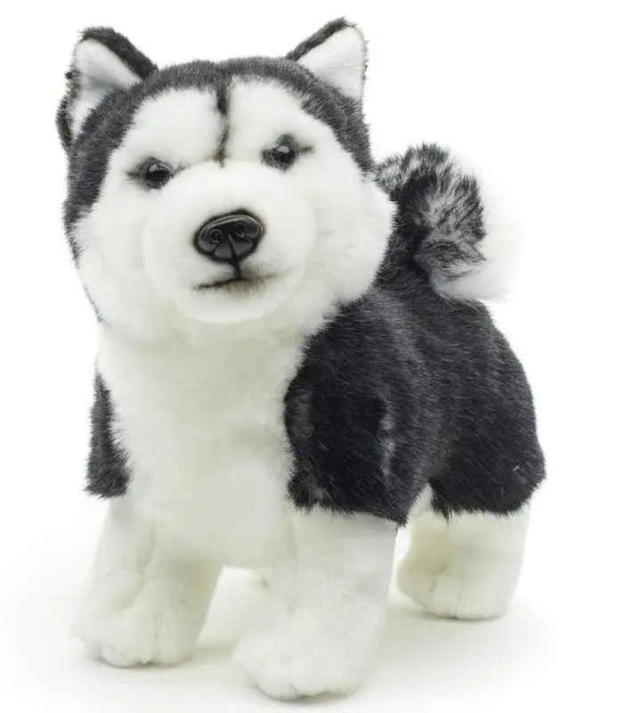 Plüsch Husky 22 cm