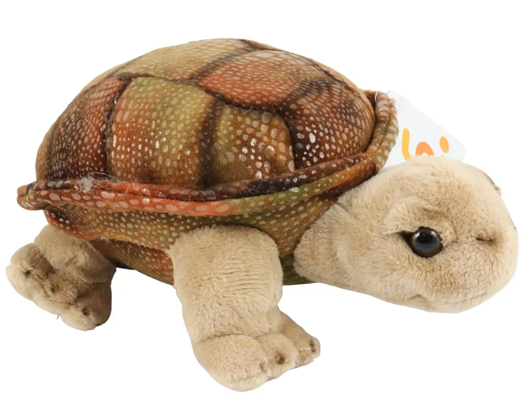 Plüsch Schildkröte