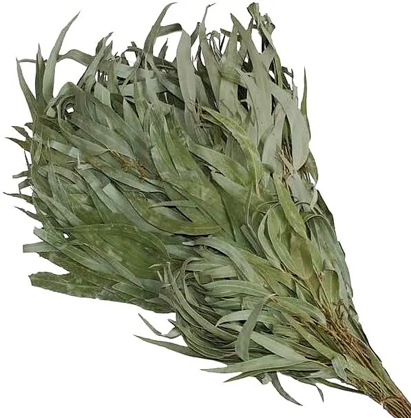 Premium Eukalyptus-Quast "Vihta"