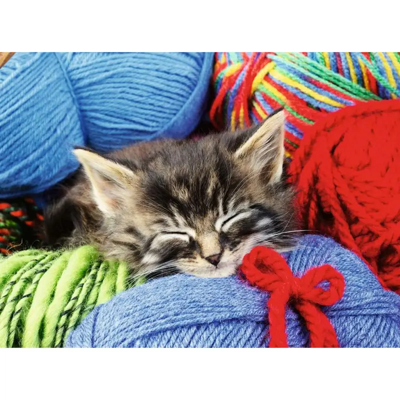 Puzzle 100 pièces - Chaton dans la laine