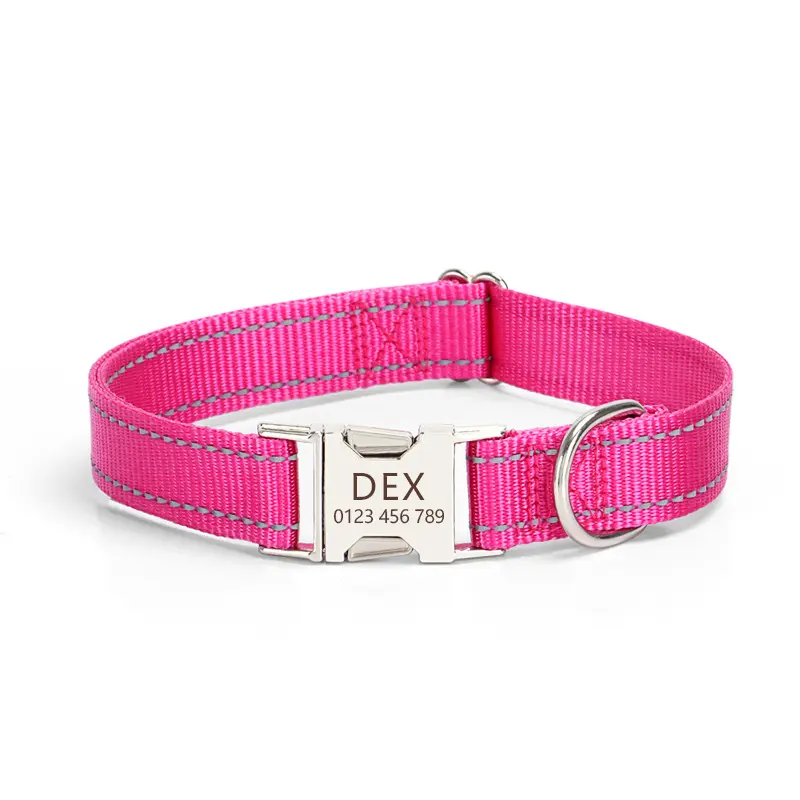 Reflektierendes Hundehalsband