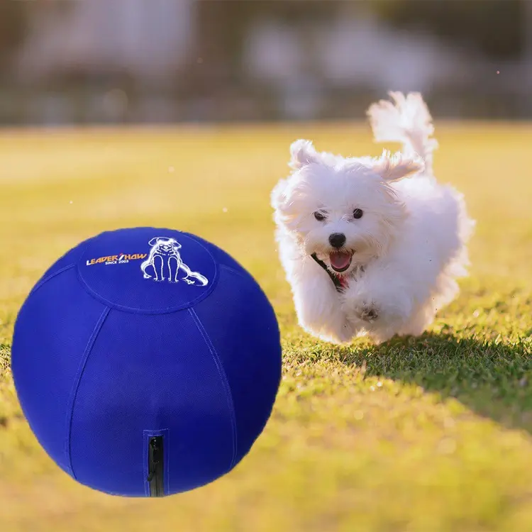 Reissfester Beissball für grosse Hunde