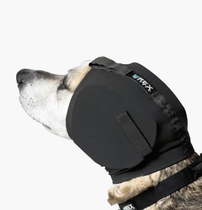 Rex Specs Hundegehörschutz