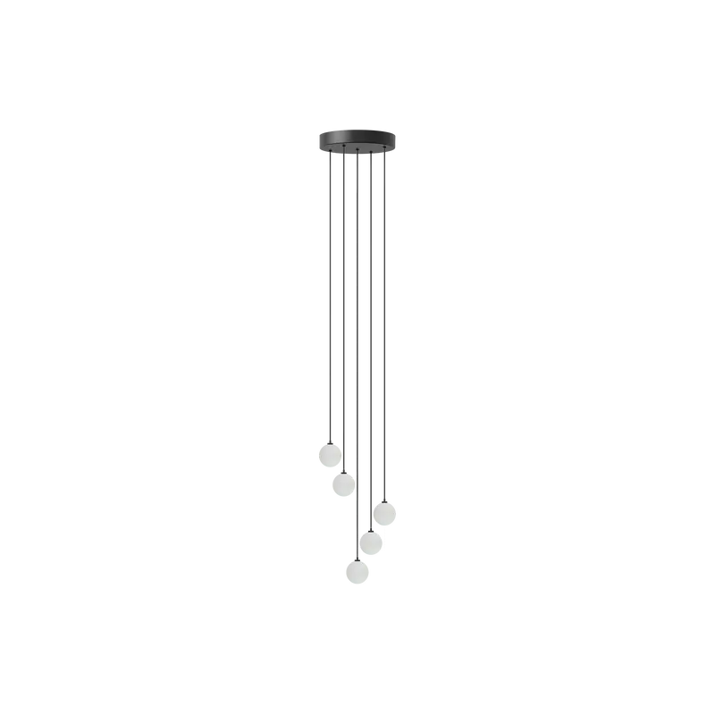 Rosette Mini 5er