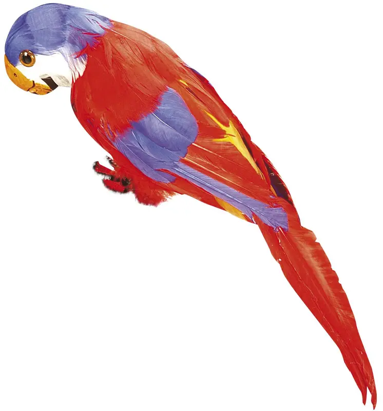 Roter Papagei