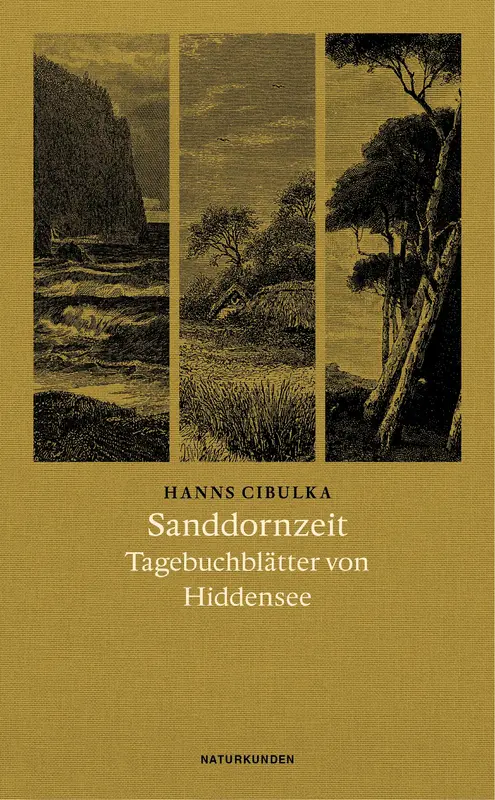 Sanddornzeit