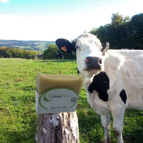 Savon au Lait de Vache