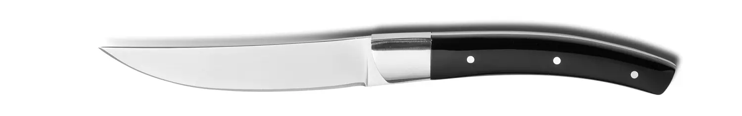 Steakmesser Zermatt 227mm