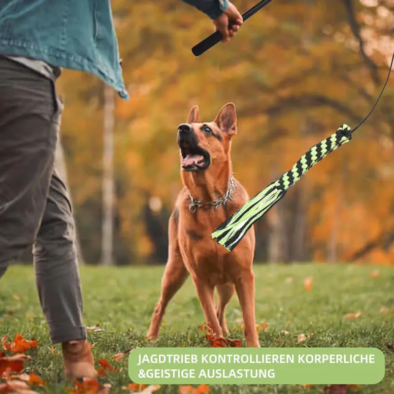 Teleskop-Spielstab für Hunde