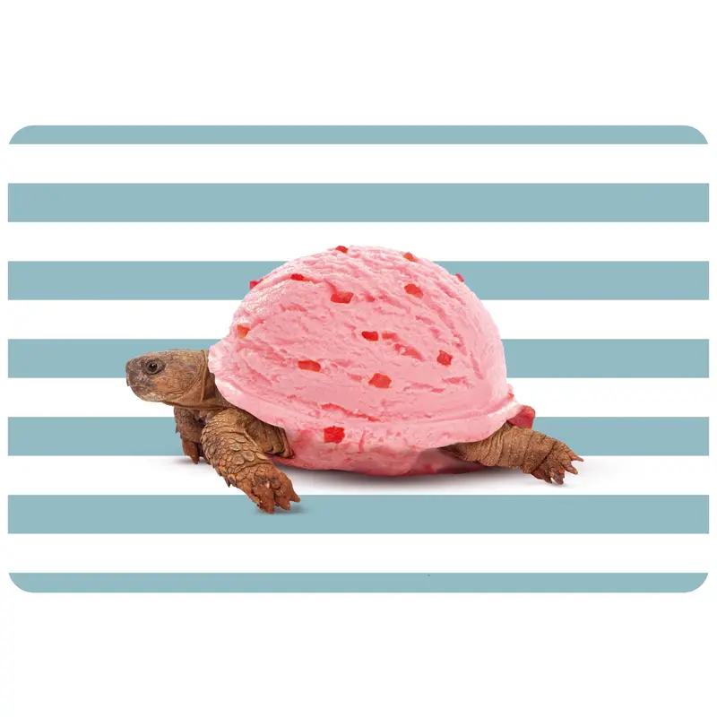 Tischset beidseitig Schildkröte PVC