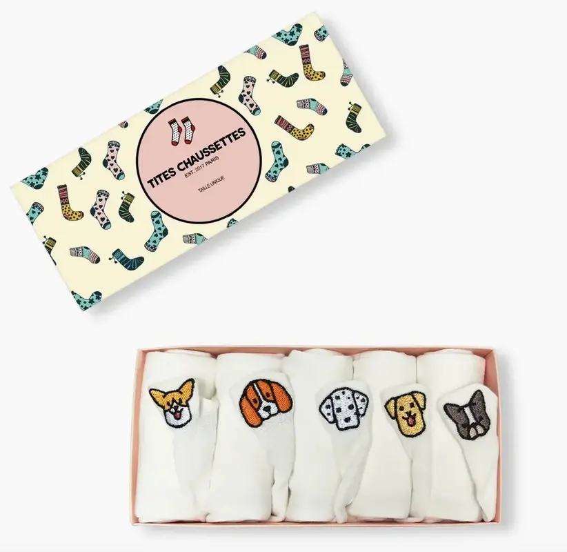 Tites Chaussettes Socken Box "Hunderudel"