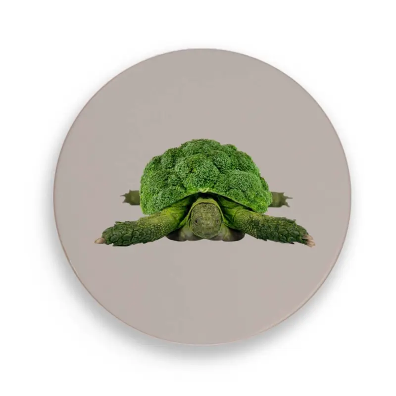 Untersetzer Schildkröte D18cm Keramik