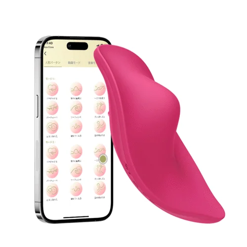 Vibrateur de culotte