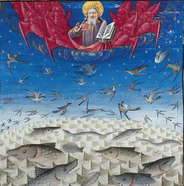 Vogel und Fisch