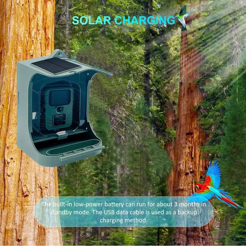 Vogelhaus mit Infrarotkamera & Solarpanel