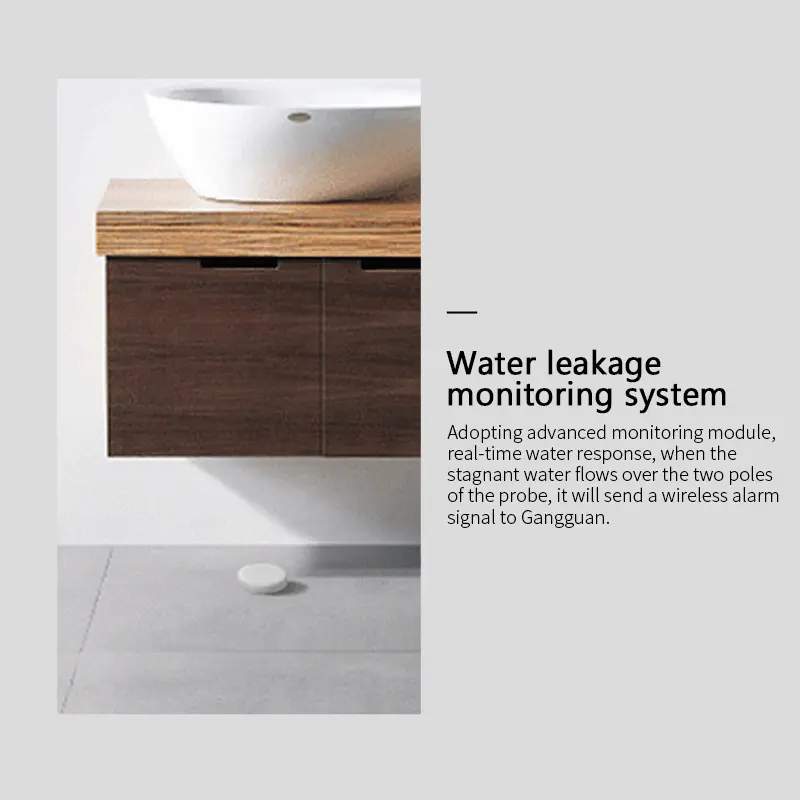 Wassermelder Zigbee Smart Home