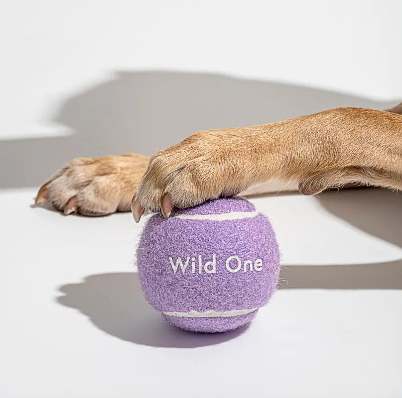 Wild One Tennisbälle für Hunde 4er Pack