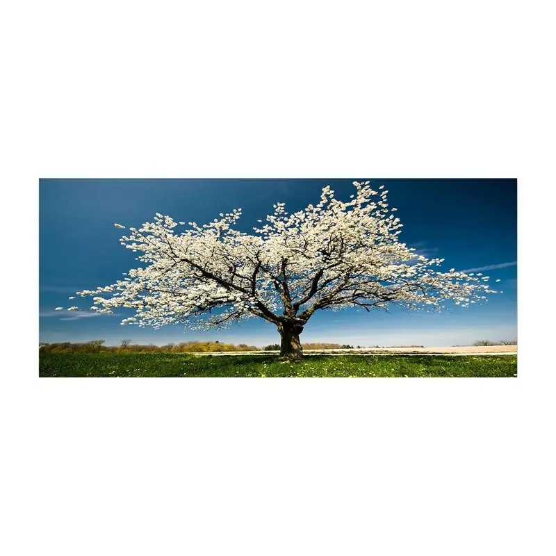 YTY1233464_50120 Bild - Mehrfarbig