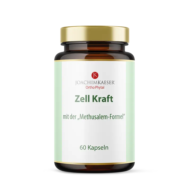 Zell Kraft - Mit L-Carnosin, Resveratrol & Traubenkern