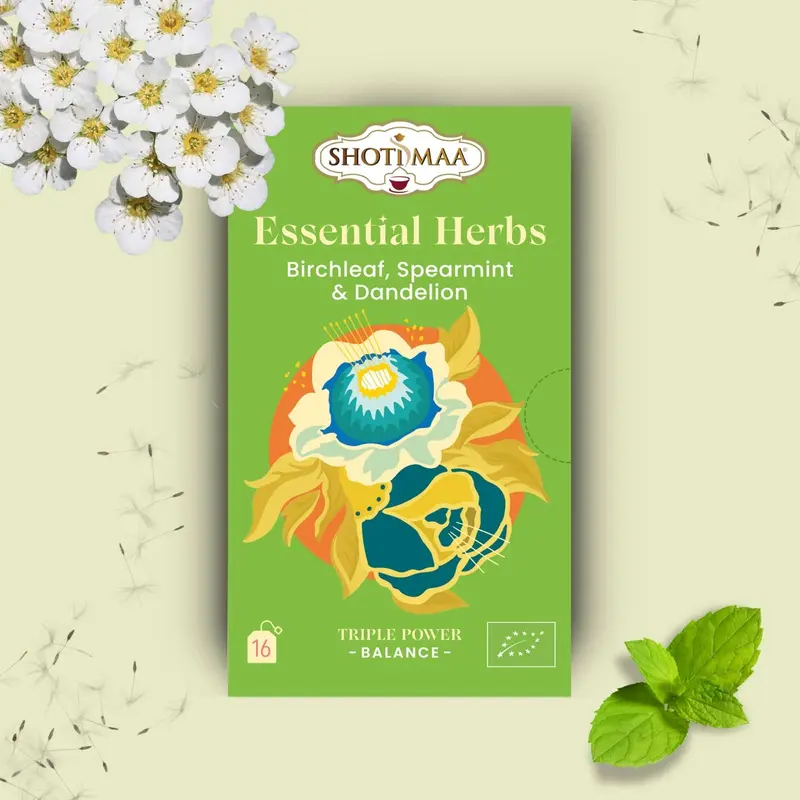 Zen'Arôme - Basisches Gleichgewicht – Bio-Kräutertee Birke, Minze & Löwenzahn